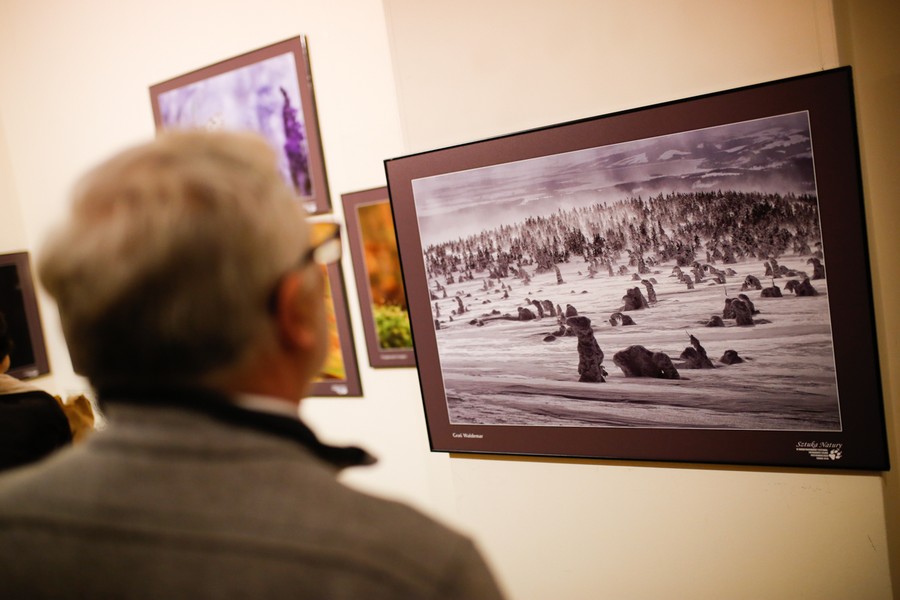 Podczas festiwalu Sztuka Natury odbędą się m.in. wystawy fotograficzne, fot. Mikołaj Kuras