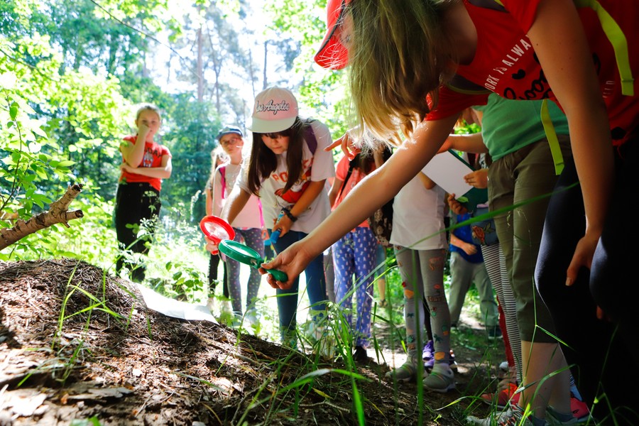 Uczniowie odwiedzą m.in. Górznieńsko-Lidzbarski Park Krajobrazowy, fot. Mikołaj Kuras