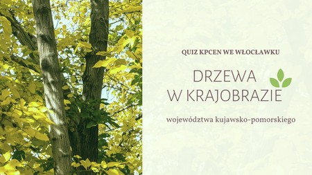 Quiz Drzewa w krajobrazie województwa kujawsko-pomorskiego