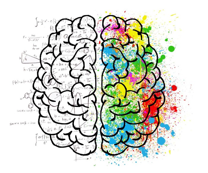 Grafika - dwie półkule mózgu lewa na tle wzorów matematycznych, prawa w plamiastych różnorodnych barwach