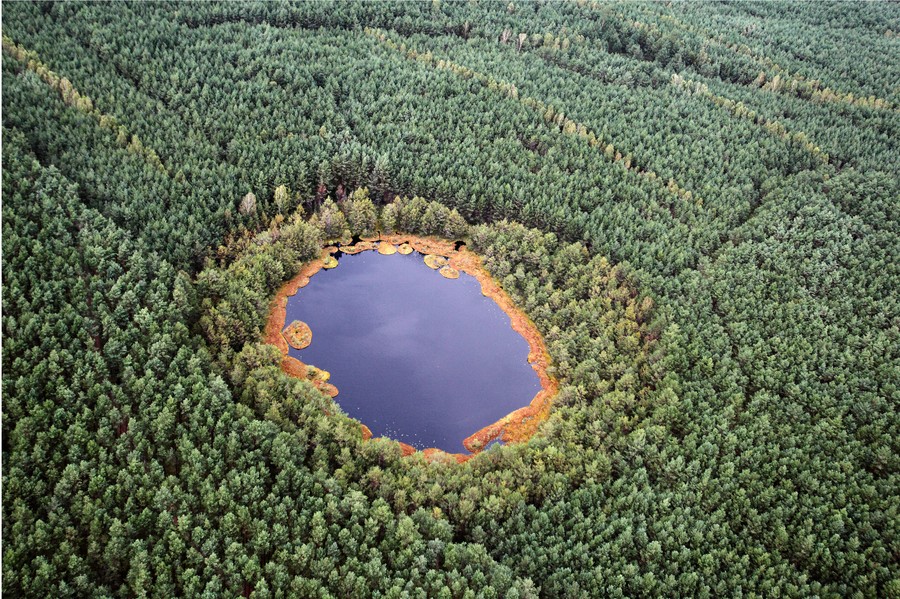 Rezerwat przyrody Jeziorka Kozie na terenie Borów Tucholskich, zdjęcie z lotu ptaka, autor fotografii Daniel Pach