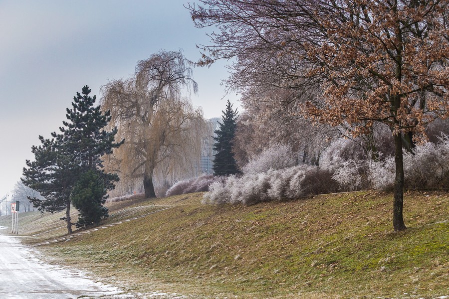 Zimowa natura, fot. Szymon Zdziebło/tarantoga.pl
