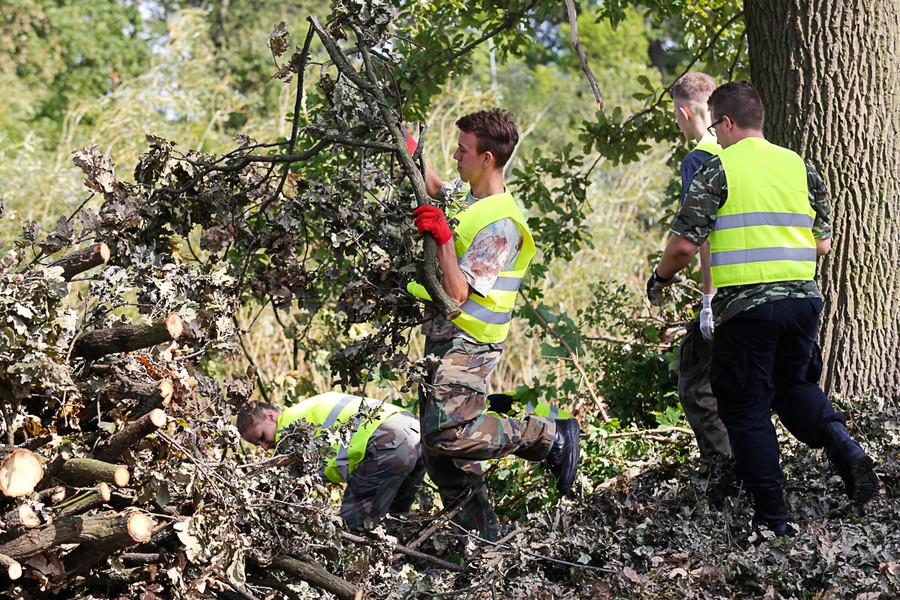 Wolontariusze oraz strażacy ochotnicy pomagali w usuwaniu skutków nawałnicy w gminie Sośno, fot. Mikołaj Kuras