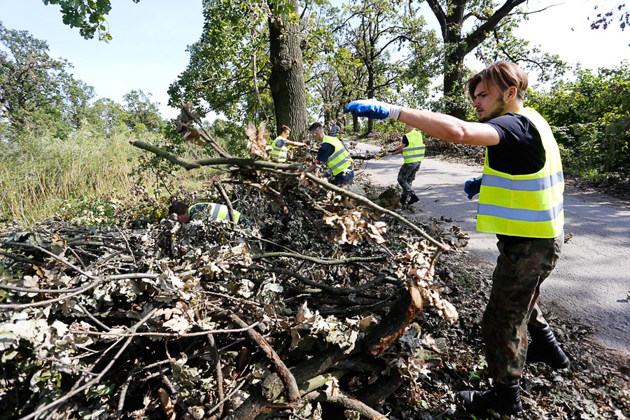 Wolontariusze oraz strażacy ochotnicy pomagali w usuwaniu skutków nawałnicy w gminie Sośno, fot. Mikołaj Kuras