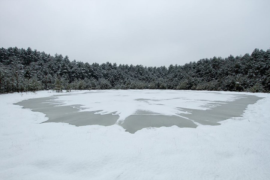 Rezerwat Dury zimą fot. Piotr Szumigaj