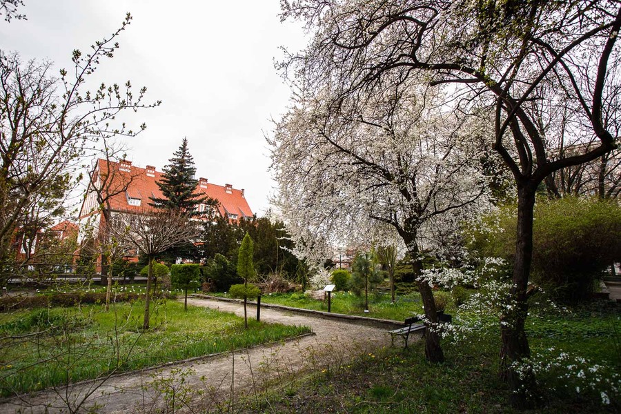 Ogród Botaniczny UKW, fot. Filip Kowalkowski dla UMWKP