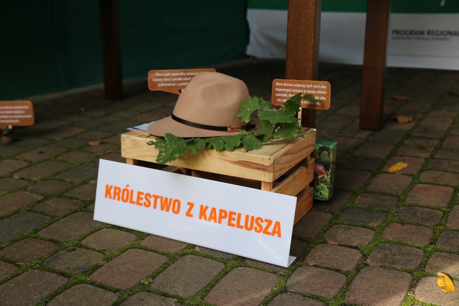Stoisko Królestwo z kapelusza fot. Rafał Borzyszkowski