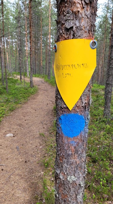 Park Narodowy Leivonmäki, przykładowe oznakowanie szlaku pieszego i narciarstwa biegowego, fot. Rafał Modrzewski