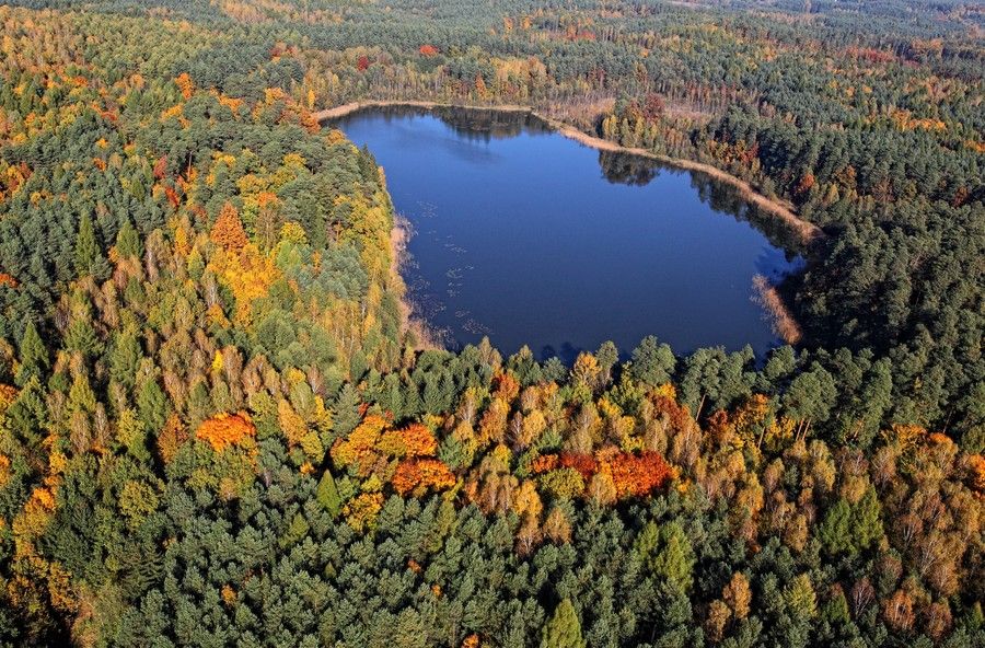 Rezerwat Czarny Bryńsk, fot. Daniel Pach