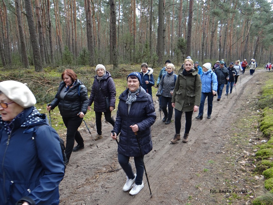 Uczestnicy rajdu w trakcie spaceru drogą leśną, fot. Julita Żabecka