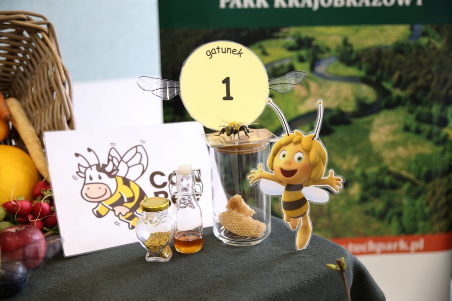 Pszczoła miodne jako zwierzę gospodarskie fot. Dorota Borzyszkowska 