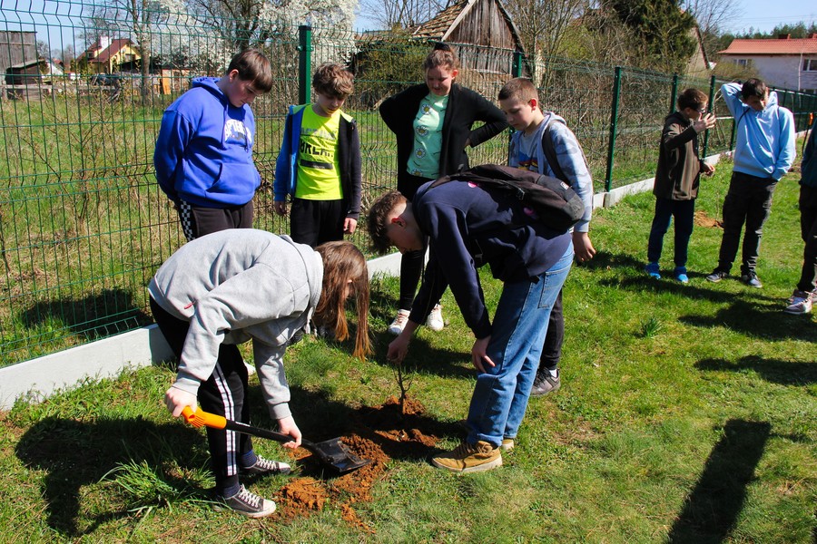 Sadzenie drzewek przy Szkole Podstawowej w Bryńsku fot. GLPK