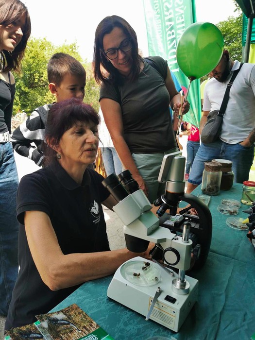 Mikroskopy interesowały dzieci i dorosłych, fot. Krzysztof Pokrętowski GLPK