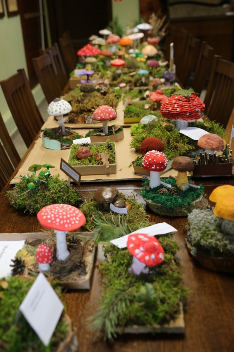 Modele grzybów, fot. Dorota Borszyszkowska
