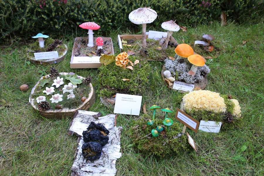 Zwycięskie i wyróżnione modele grzybów, fot. Dorota Borzyszkowska