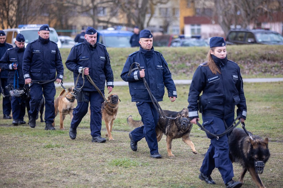 Przekazanie samochodów policyjnych do przewozu psów służbowych, fot. Mikołaj Kuras dla UMWKP