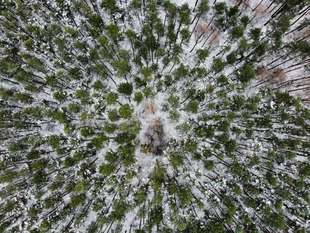 Las zimą w GLPK okiem drona, fot. Krzysztof Pokrętowski