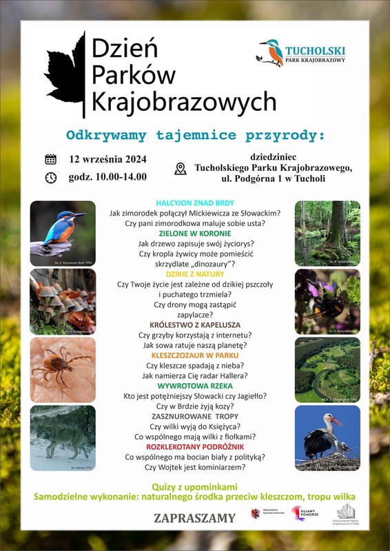 Plakat - Dzień Parków Krajobrazowych