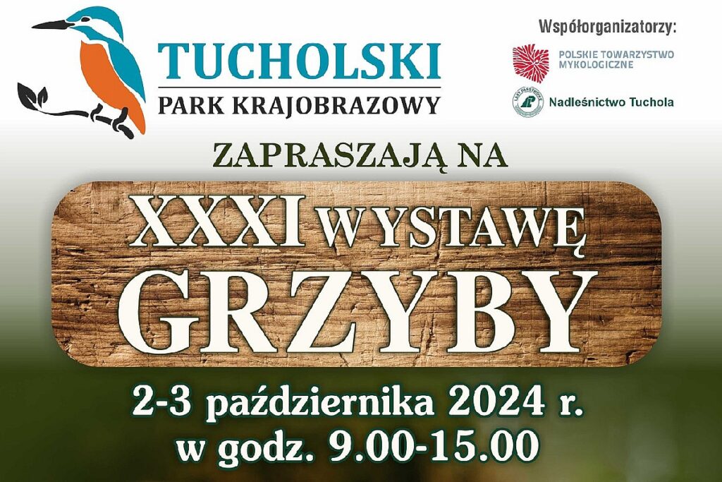 Zaproszenie na wystawę: Grzyby