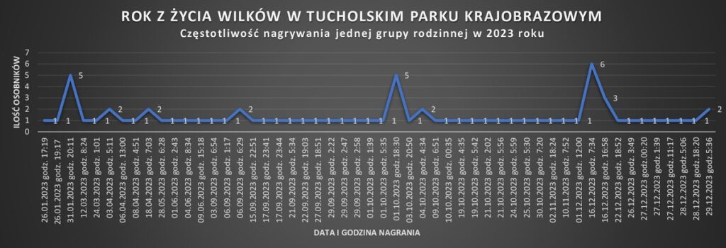 Rok z życia wilków, wykres Rafał Borzyszkowski
