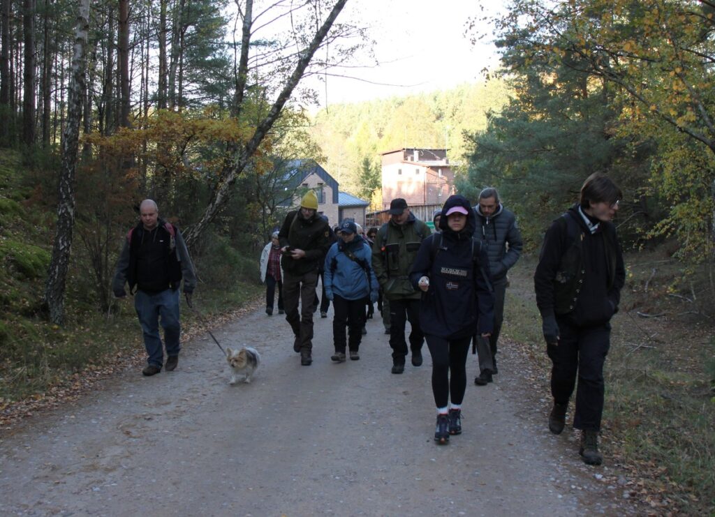 Kolonia Nowy Młyn fot. D. Borzyszkowska