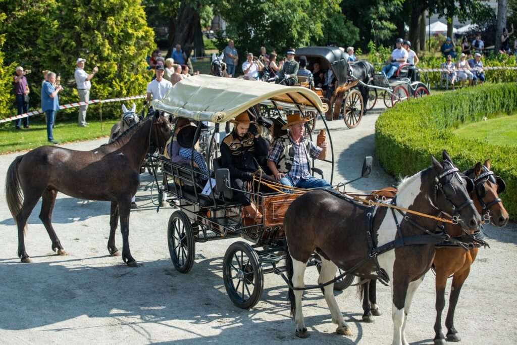 XXVIII Konkurs Pojazdów Konnych w zespole pałacowym w Lubostroniu, fot. Tomasz Czachorowski, eventphoto.com.pl dla UMWKP