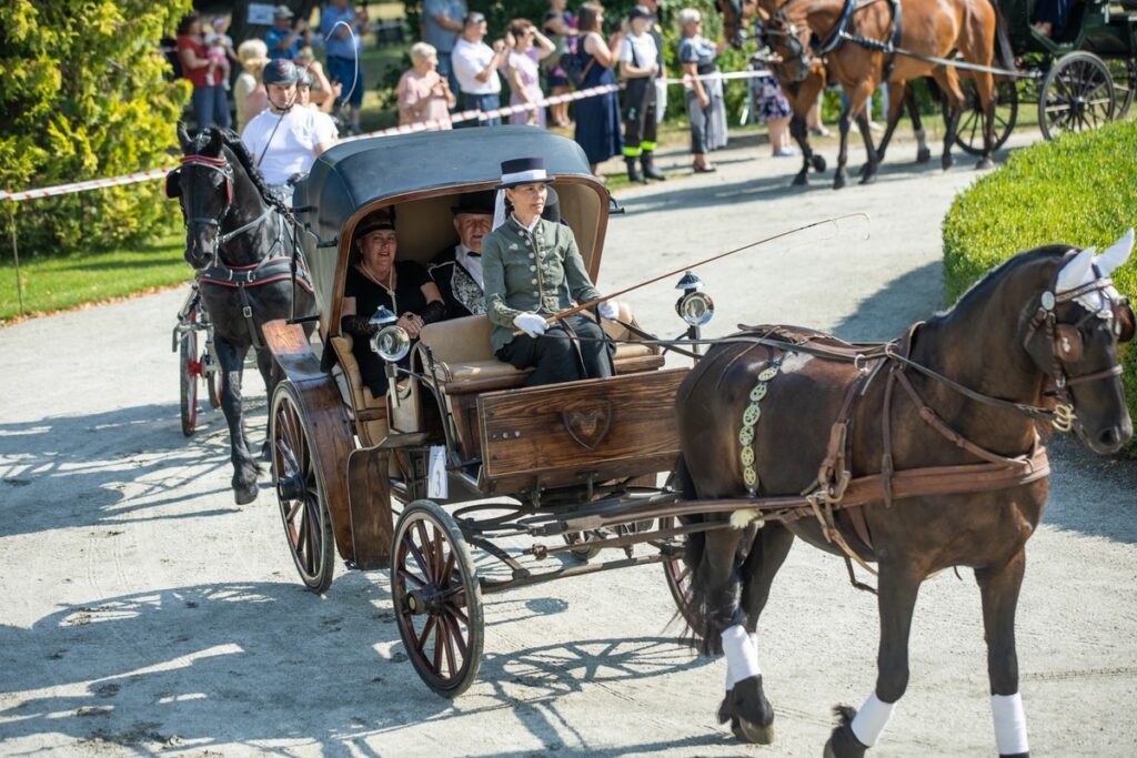 XXVIII Konkurs Pojazdów Konnych w zespole pałacowym w Lubostroniu, fot. Tomasz Czachorowski, eventphoto.com.pl dla UMWKP