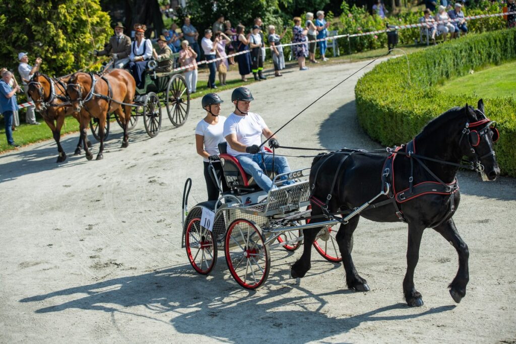 XXVIII Konkurs Pojazdów Konnych w zespole pałacowym w Lubostroniu, fot. Tomasz Czachorowski, eventphoto.com.pl dla UMWKP