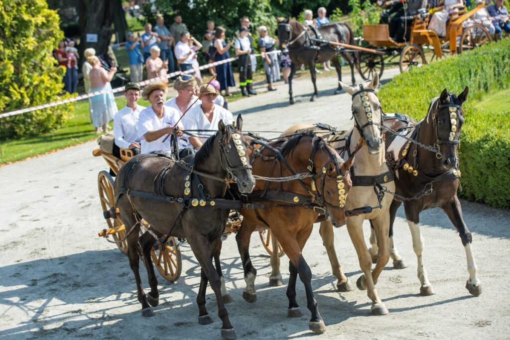 XXVIII Konkurs Pojazdów Konnych w zespole pałacowym w Lubostroniu, fot. Tomasz Czachorowski, eventphoto.com.pl dla UMWKP