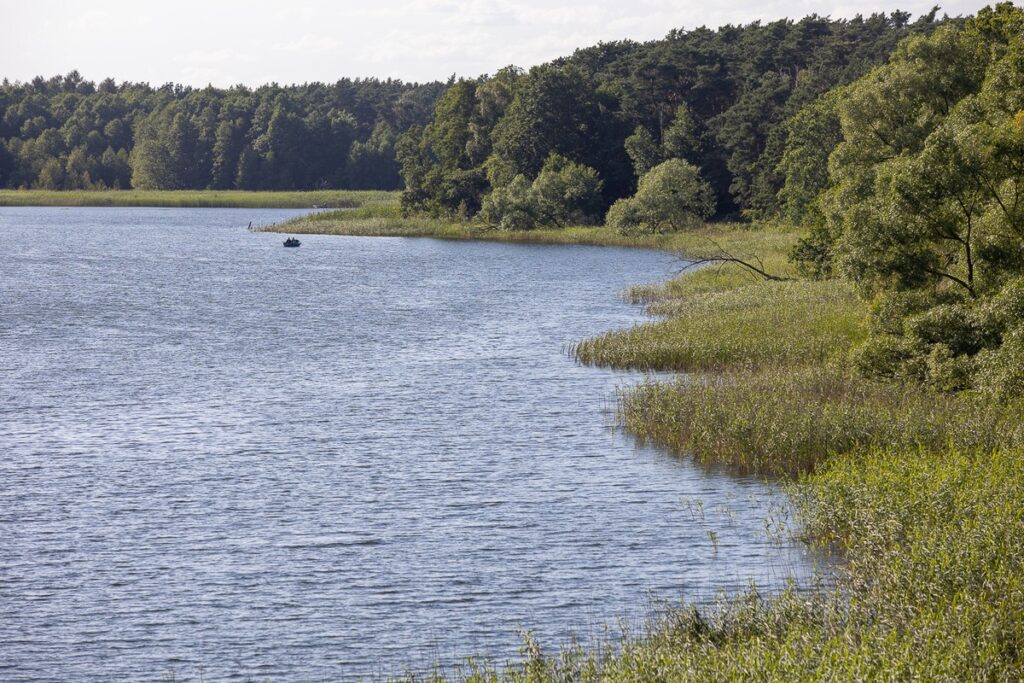 Gostynińsko-Włocławski Park Krajobrazowy, fot. Mikołaj Kuras dla UMWKP