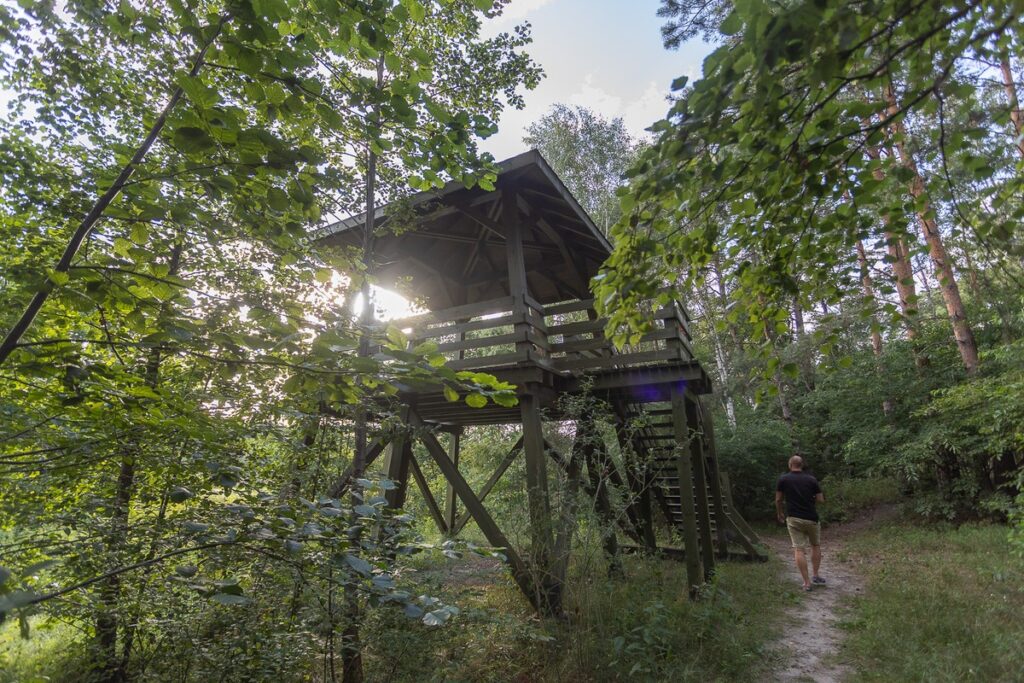 Gostynińsko-Włocławski Park Krajobrazowy, fot. Mikołaj Kuras dla UMWKP