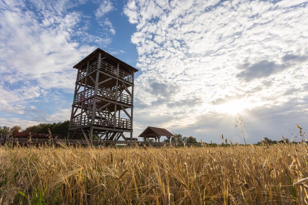 Gostynińsko-Włocławski Park Krajobrazowy, fot. Mikołaj Kuras dla UMWKP