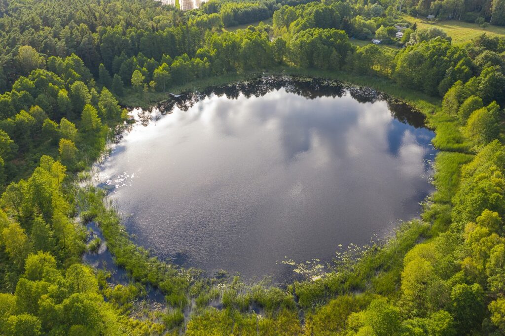 Gostynińsko-Włocławski Park Krajobrazowy, fot. Mikołaj Kuras dla UMWKP