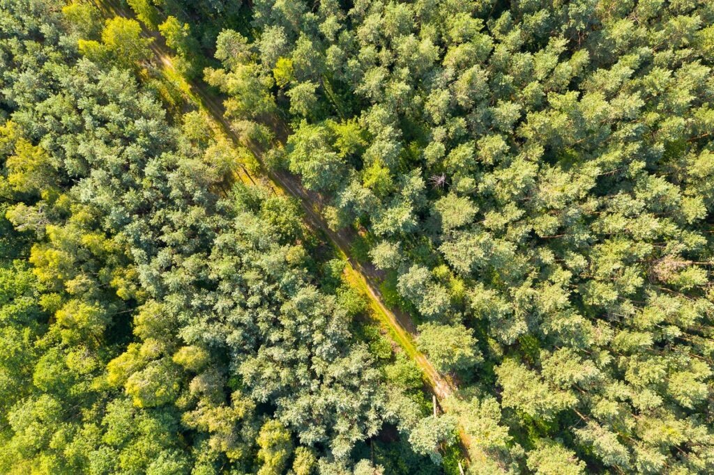 Gostynińsko-Włocławski Park Krajobrazowy, fot. Mikołaj Kuras dla UMWKP