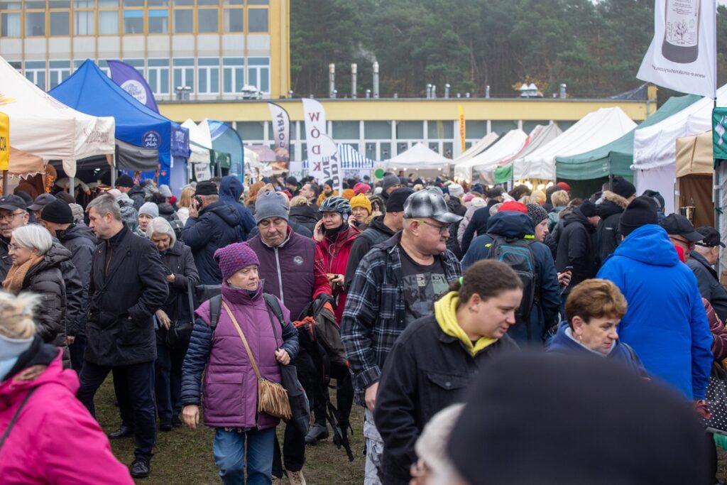 Festiwal Gęsiny w Przysieku, fot. Mikołaj Kuras dla UMWKP