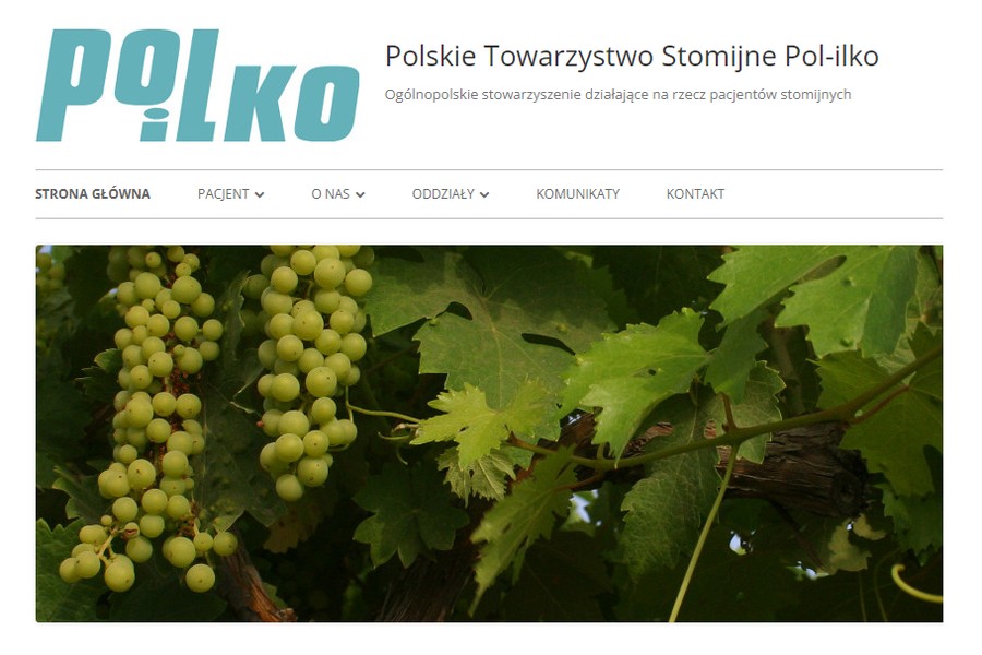 Header strony Polskiego Towarzystwa Stomijnego Pol-ilko