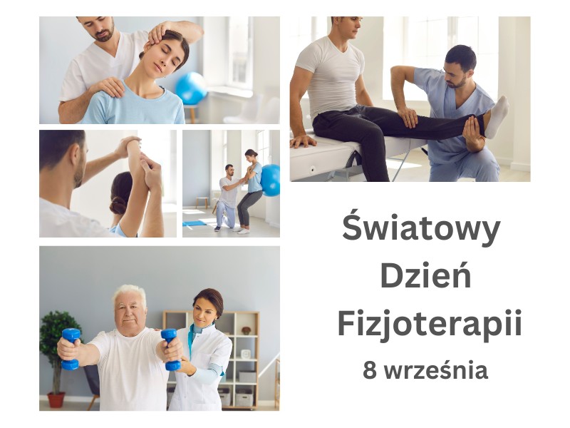 Grafika - Światowy dzień fizjoterapii