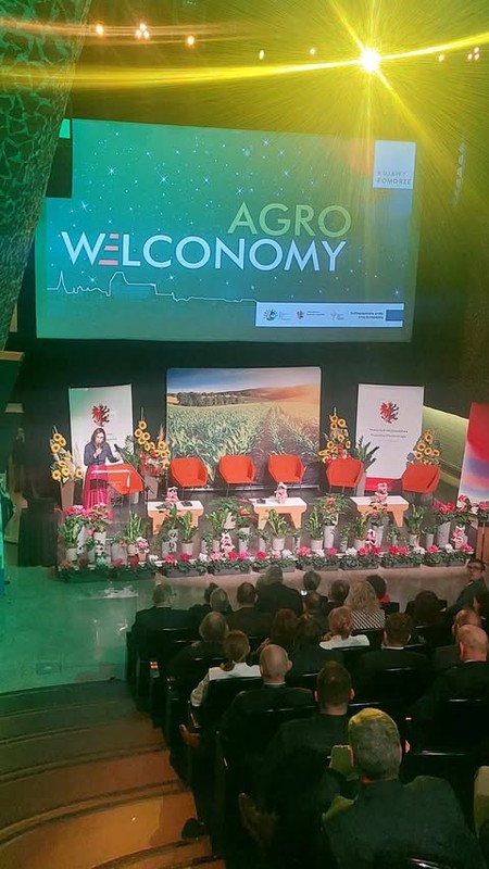 Sala podczas AgroWelconomy. fot. UMWKP
