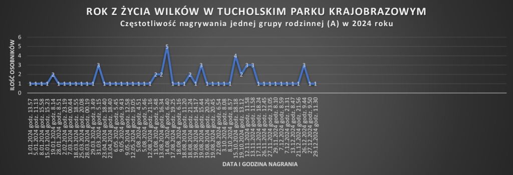 Grupa A wykres R. Borzyszkowski