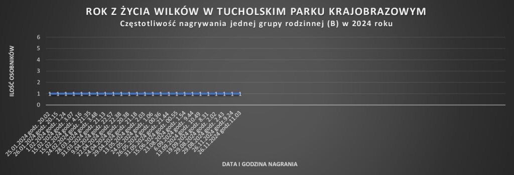 Grupa B wykres R. Borzyszkowski