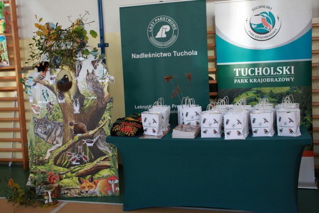 temat przewodni konkursu - drzewo, fot. M. Kaczmarek