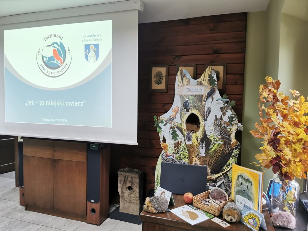 Prelekcja na temat jeży w TPK (fot. M. Kaczmarek)