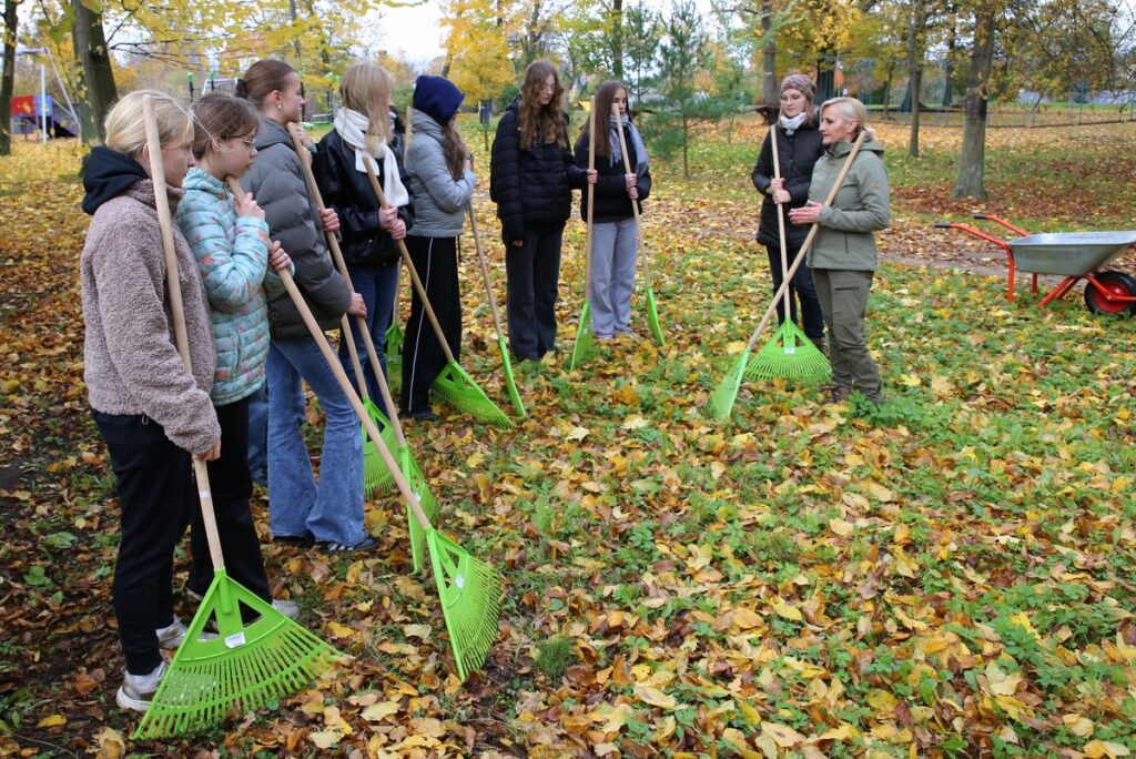 Azyle dla jeży w miejskich parkach (fot. R. Borzyszkowski)
