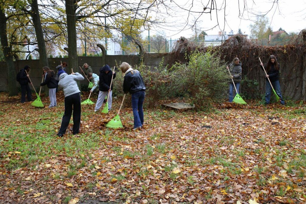 Azyle dla jeży w miejskich parkach (fot. R. Borzyszkowski)