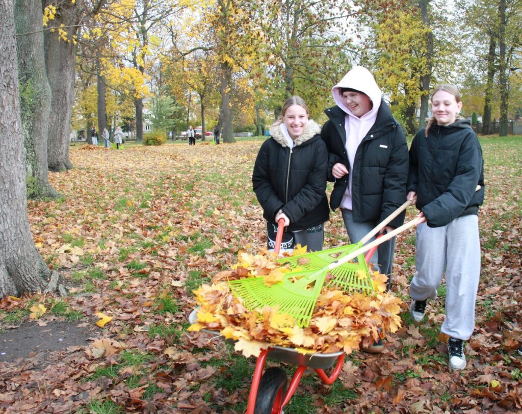 Azyle dla jeży w miejskich parkach (fot. B. Grzesiak)
