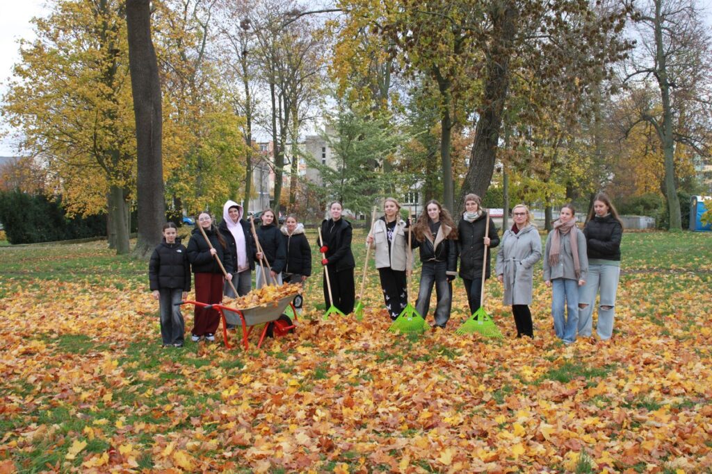 Azyle dla jeży w miejskich parkach (fot. B. Grzesiak)