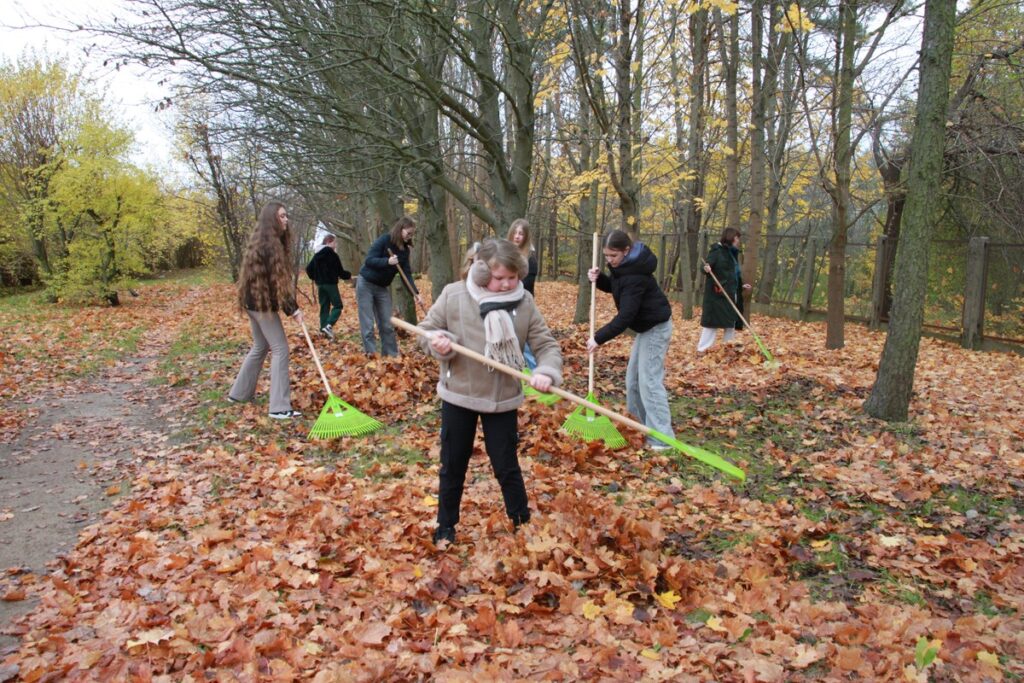 Azyle dla jeży w miejskich parkach (fot. M. Kaczmarek)