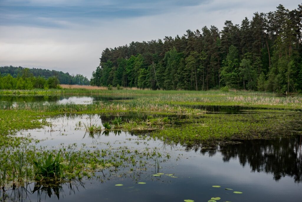 Brodnica Landscape Park photo: Andrzej Goiński/UMWKP