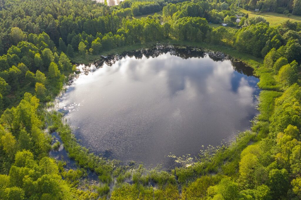 Gostyninsko-Włoclawski Landscape Park photo by Mikołaj Kuras for UMWKP