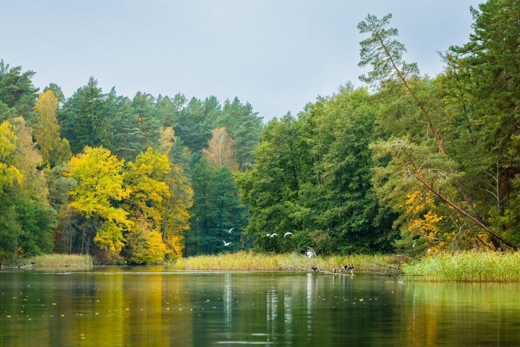 Wdecki Landscape Park, photo Tomasz Czachorowski/eventphoto.com.pl for UMWKP